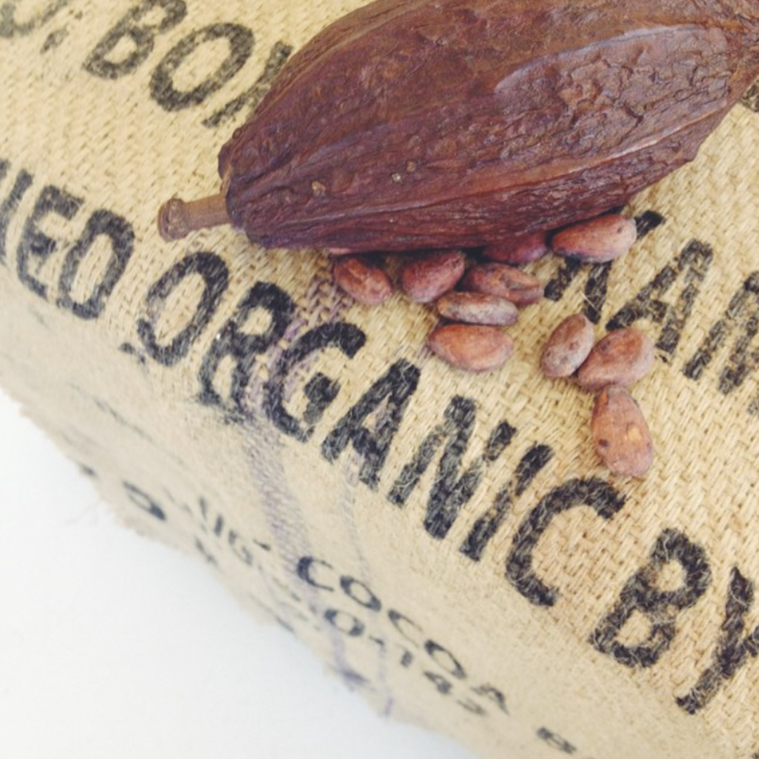 Sourcing our Cacao Beans