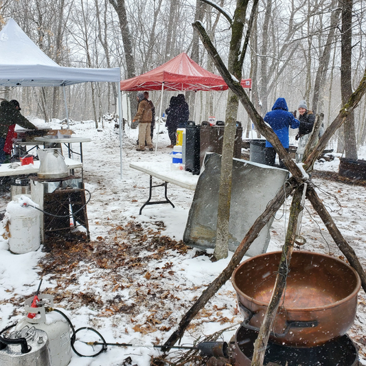 Winter gathering in the Minnesota sugarbush.