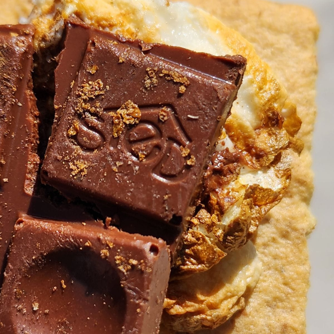 A delicious s'more made with Sted Foods chocolate